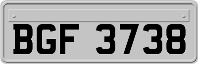 BGF3738