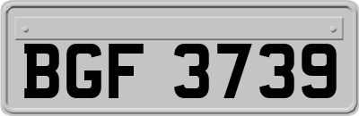 BGF3739