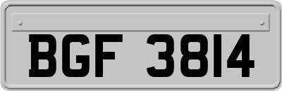 BGF3814
