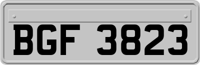 BGF3823