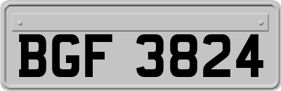 BGF3824