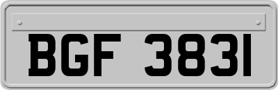 BGF3831