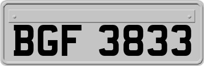 BGF3833