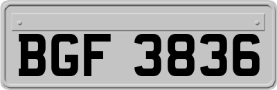 BGF3836