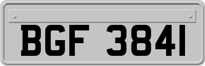 BGF3841