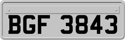 BGF3843