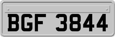 BGF3844