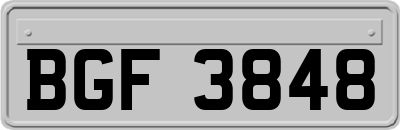BGF3848