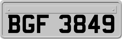 BGF3849