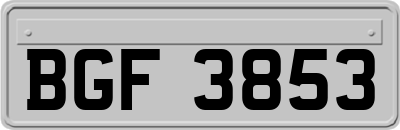 BGF3853