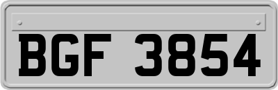 BGF3854