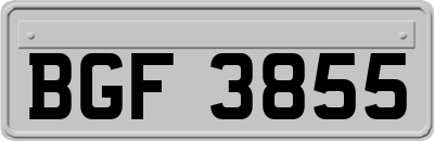 BGF3855