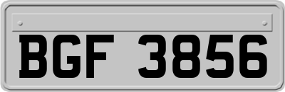 BGF3856