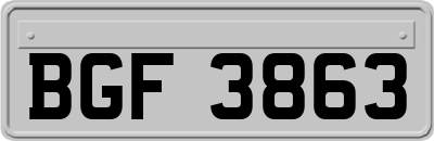 BGF3863