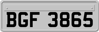 BGF3865