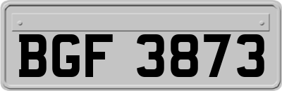 BGF3873