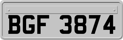 BGF3874