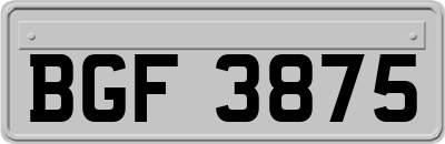BGF3875