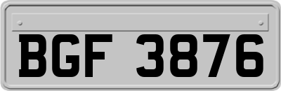 BGF3876