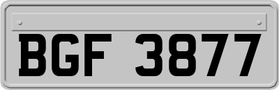 BGF3877