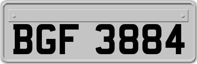 BGF3884
