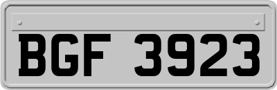 BGF3923