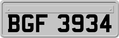 BGF3934
