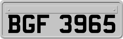 BGF3965