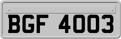 BGF4003