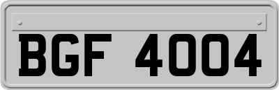 BGF4004