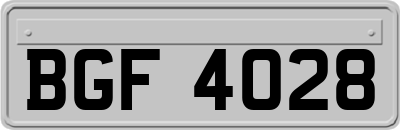 BGF4028