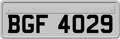 BGF4029