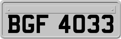 BGF4033