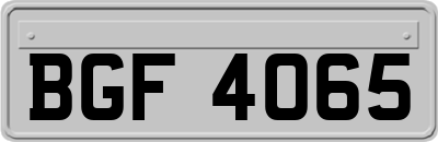 BGF4065