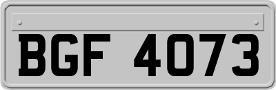 BGF4073
