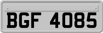 BGF4085