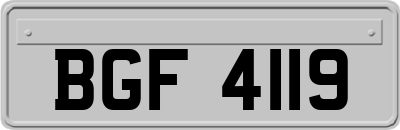 BGF4119