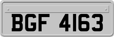 BGF4163