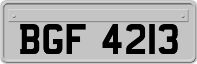 BGF4213