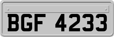 BGF4233