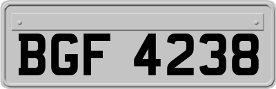 BGF4238