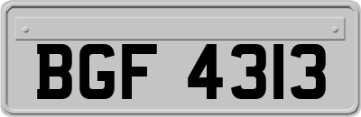 BGF4313