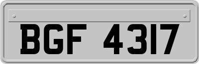 BGF4317