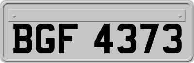 BGF4373