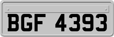 BGF4393
