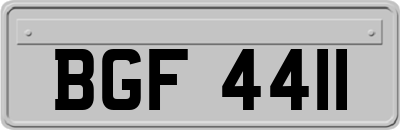 BGF4411