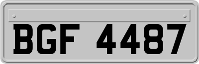 BGF4487