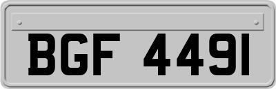 BGF4491