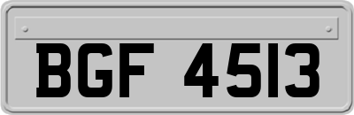 BGF4513