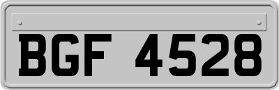 BGF4528
